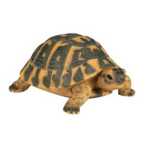 Statue en résine – Tortue Hermann PM 17cm