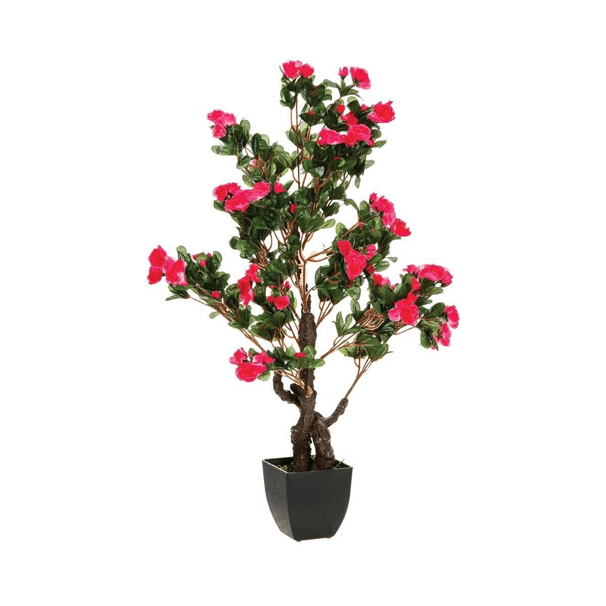 Azalée en Pot Lucile Rose H81cm