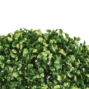 Boule de Buis Murcie D28