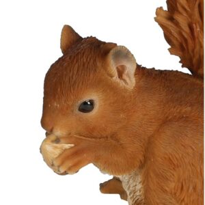 Statue résine Roki Bébé Ecureuil Noisette 15cm Riviera
