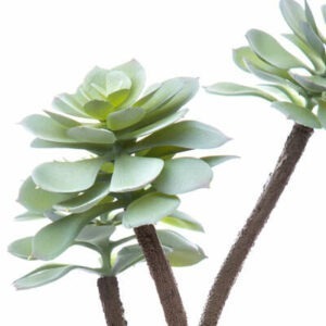 Plante Grasse Succulente Artificielle Falome H30