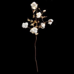 Branche lumineuse de Fleurs de Coton Stanton H75cm