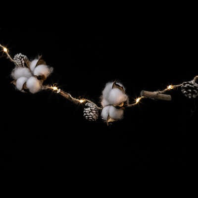 Guirlande Intérieure à Piles Fleurs de Coton Liana