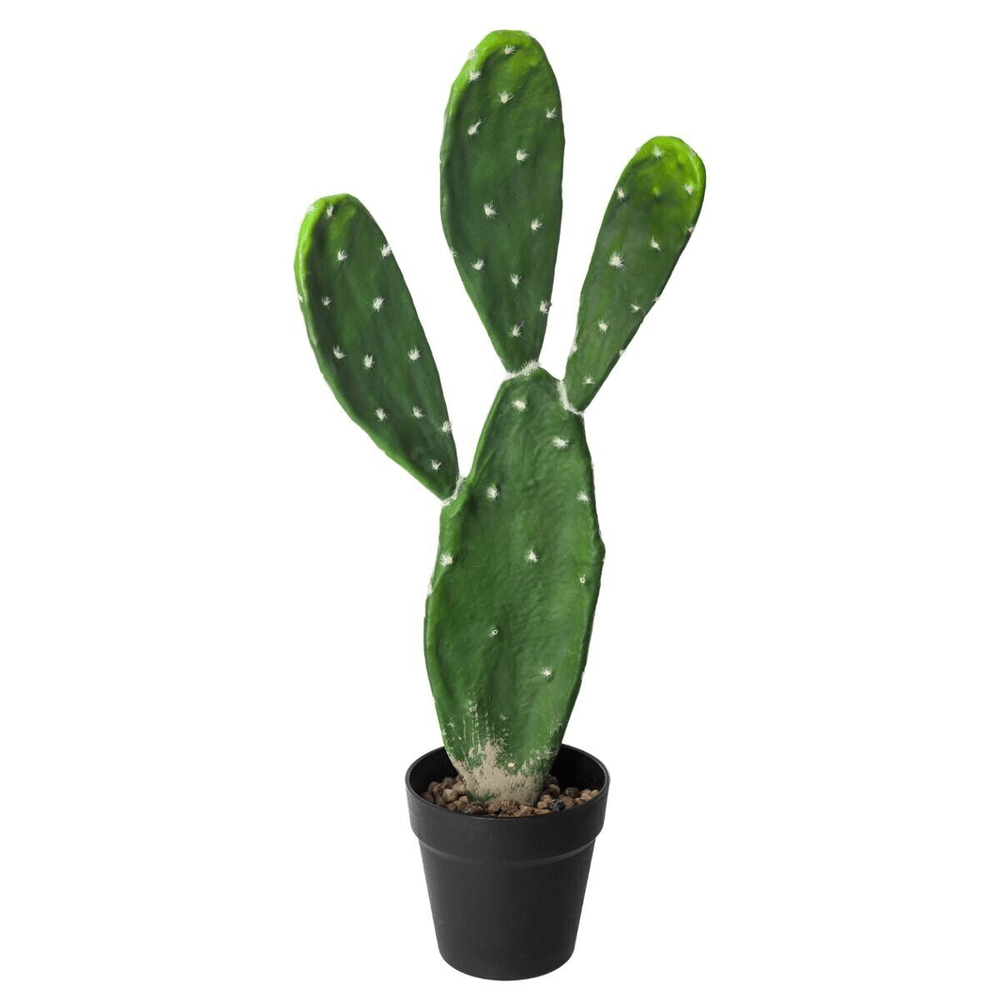 Plante Artificielle Cactus Izamal H60cm