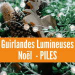 Rubrique Guirlandes Lumineuses Noël PILES - Décoration Maison et Sapin - Flora Déco