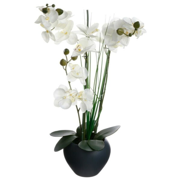 Orchidées Artificielles Ortega coupe céramique H53cm