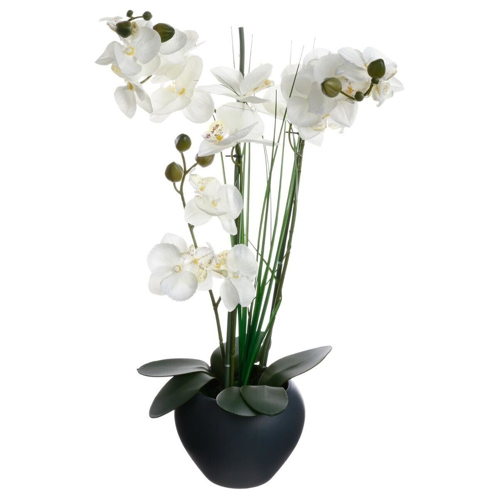 Orchidées Artificielles Ortega coupe céramique H53 - Flora Déco