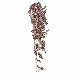 Plante retombante artificielle Bégonia Belgique 65 cm