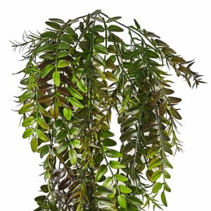 Plante retombante artificielle Ruscus Xavier 80 cm