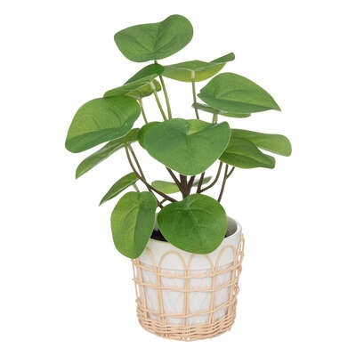 Plante verte Artificielle Maikel H34 pot blanc et rotin