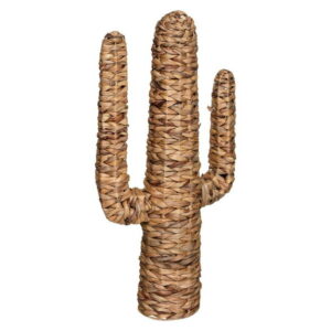 Cactus en Jacinthe GM Fuarez H75 cm