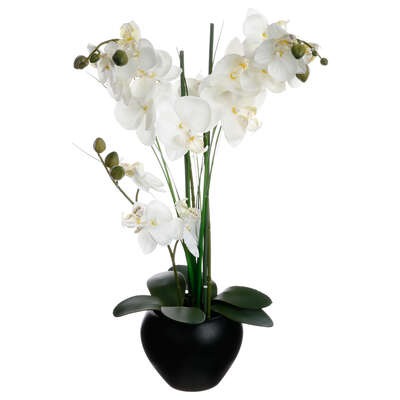 Orchidées Artificielles Blanches Sotega coupe noire H53cm