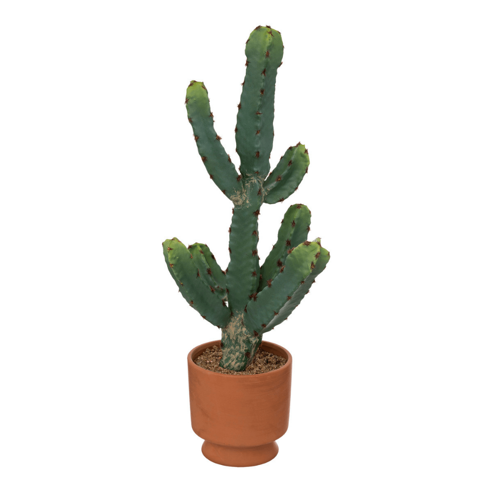 Plante Artificielle Cactus Daniyah pot terracotta H49cm