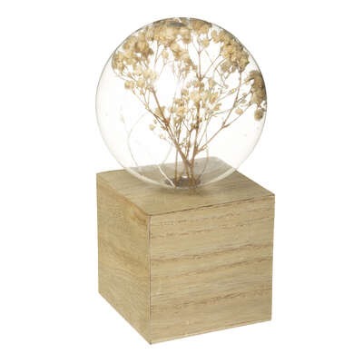 Deco Lumineuse Kilmo Fleurs séchées et Bois Beige