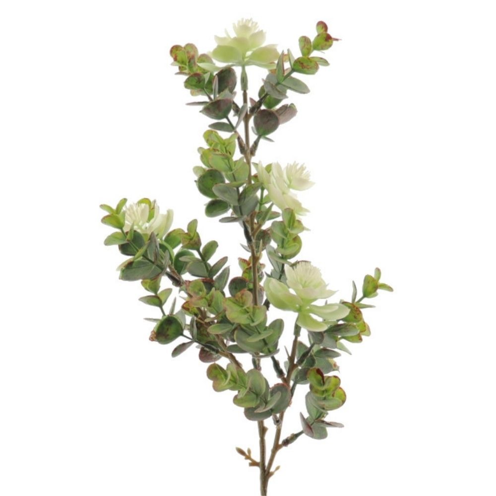 Branche Eucalyptus sauvage artificiel Wanis fleurs blanches H60cm