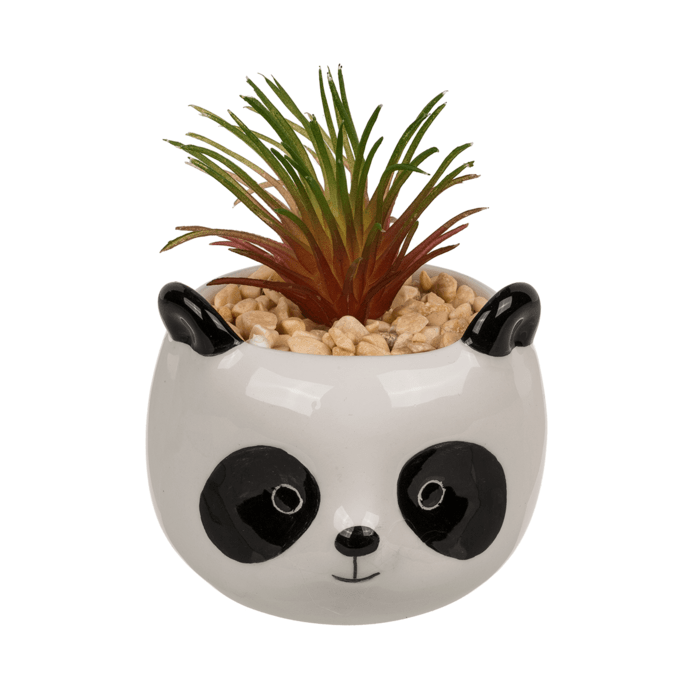 Succulente Artificielle Caxina pot Panda