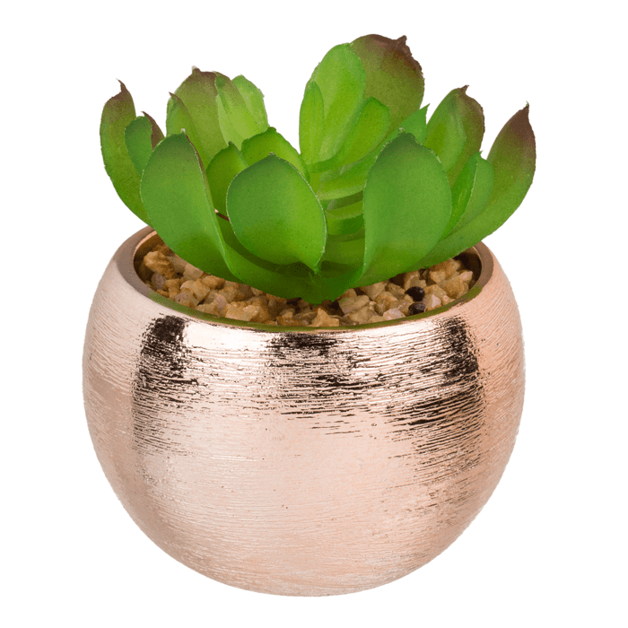 Succulente Artificielle Slaton pot or rose