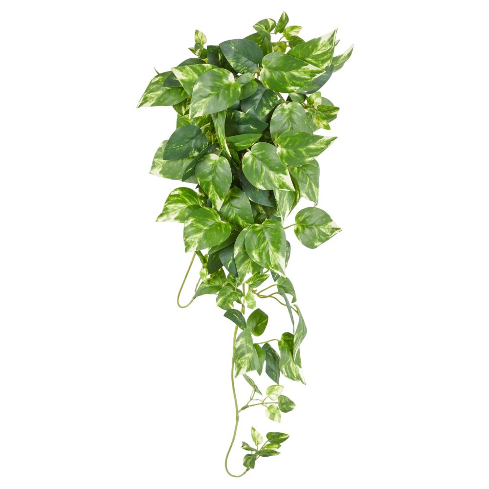 Plante retombante artificielle Pothos Danemark H55cm