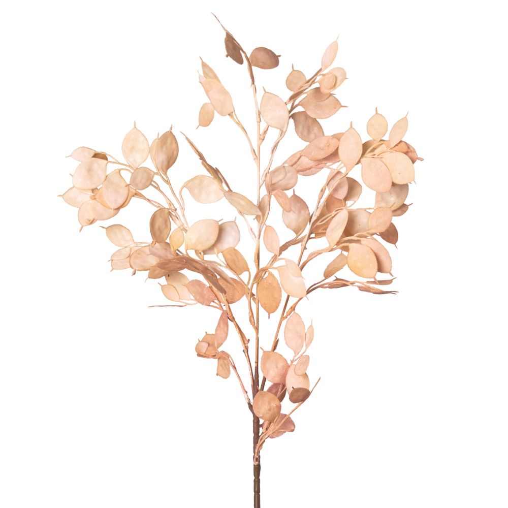 Tige fleur artificielle déco Lunaria Beige H80cm