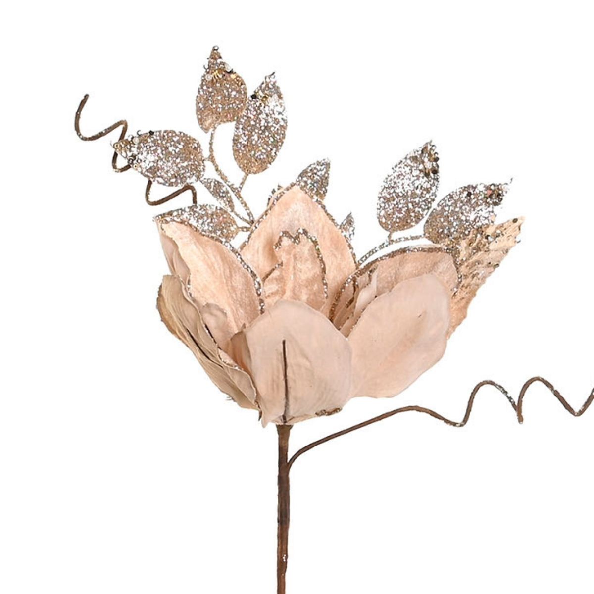 Poinsettia Velours Nardo Beige H45