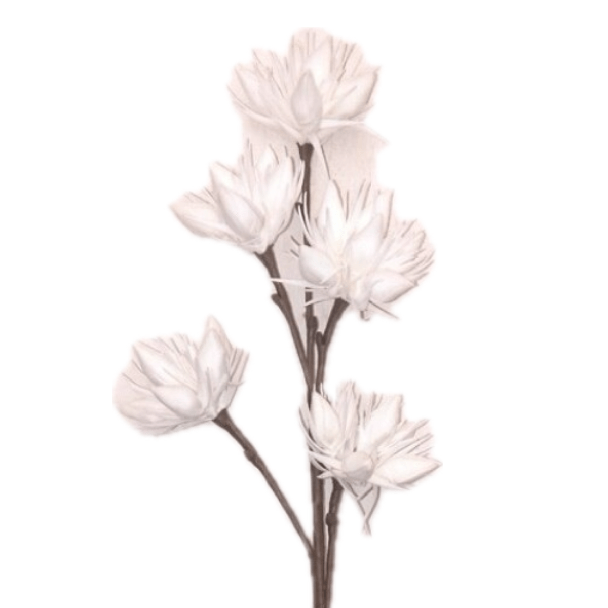 Tige Fleurs Mousse Silana Blanc H94cm