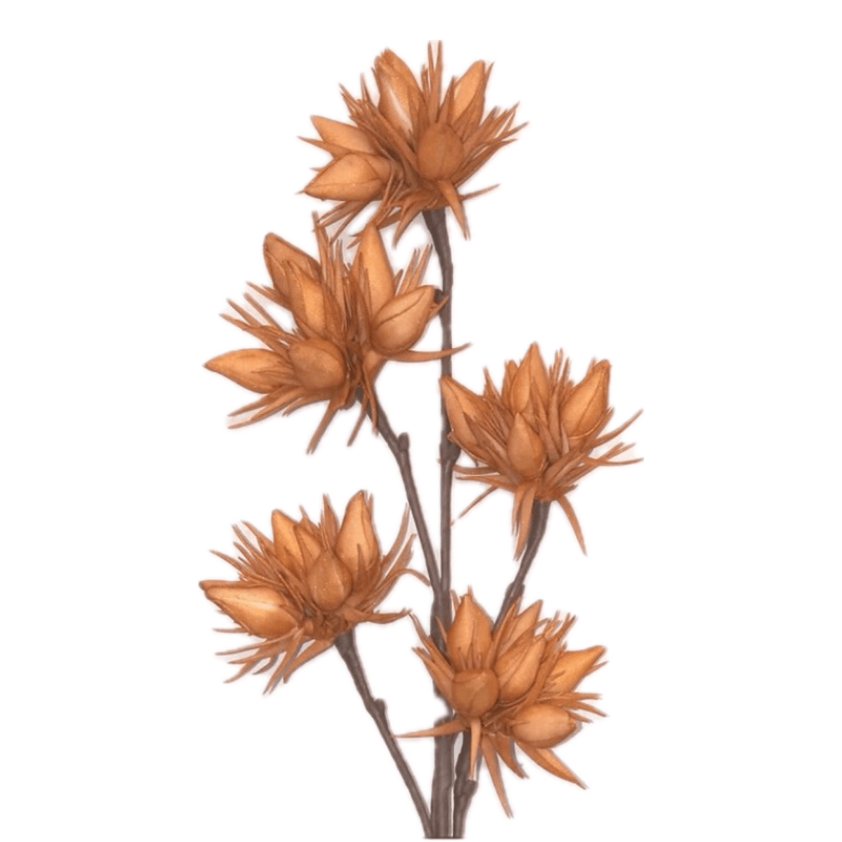 Tige Fleurs Mousse Silana Orange H94cm