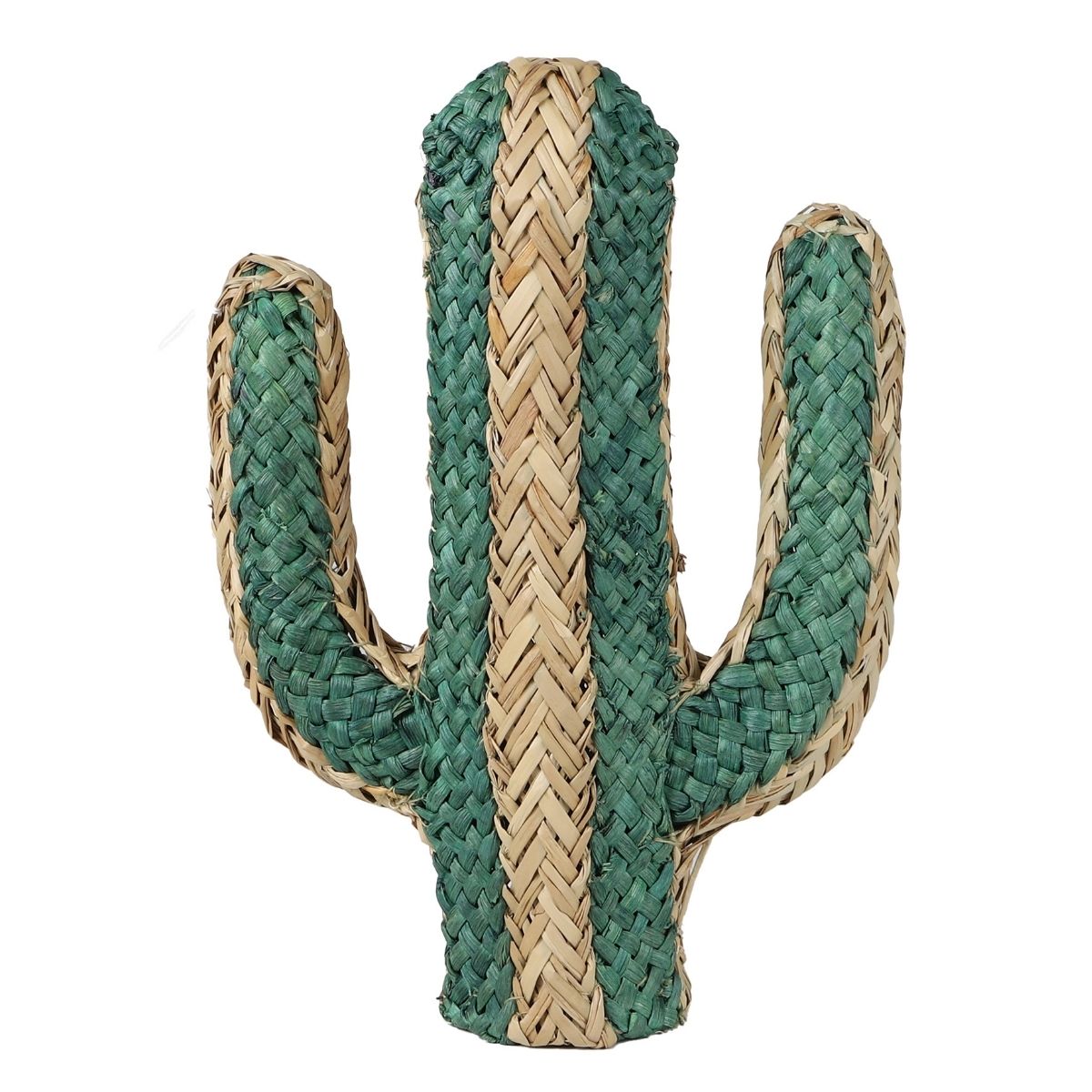 Cactus corde Kanas Vert et Beige H35cm