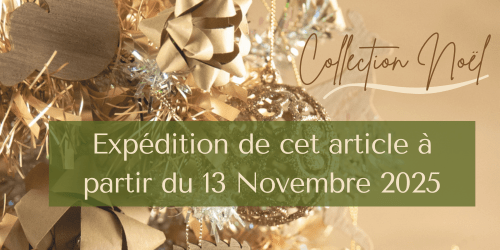 Flora Déco Collection Noël Expédition à partir du 13 Novembre 2025