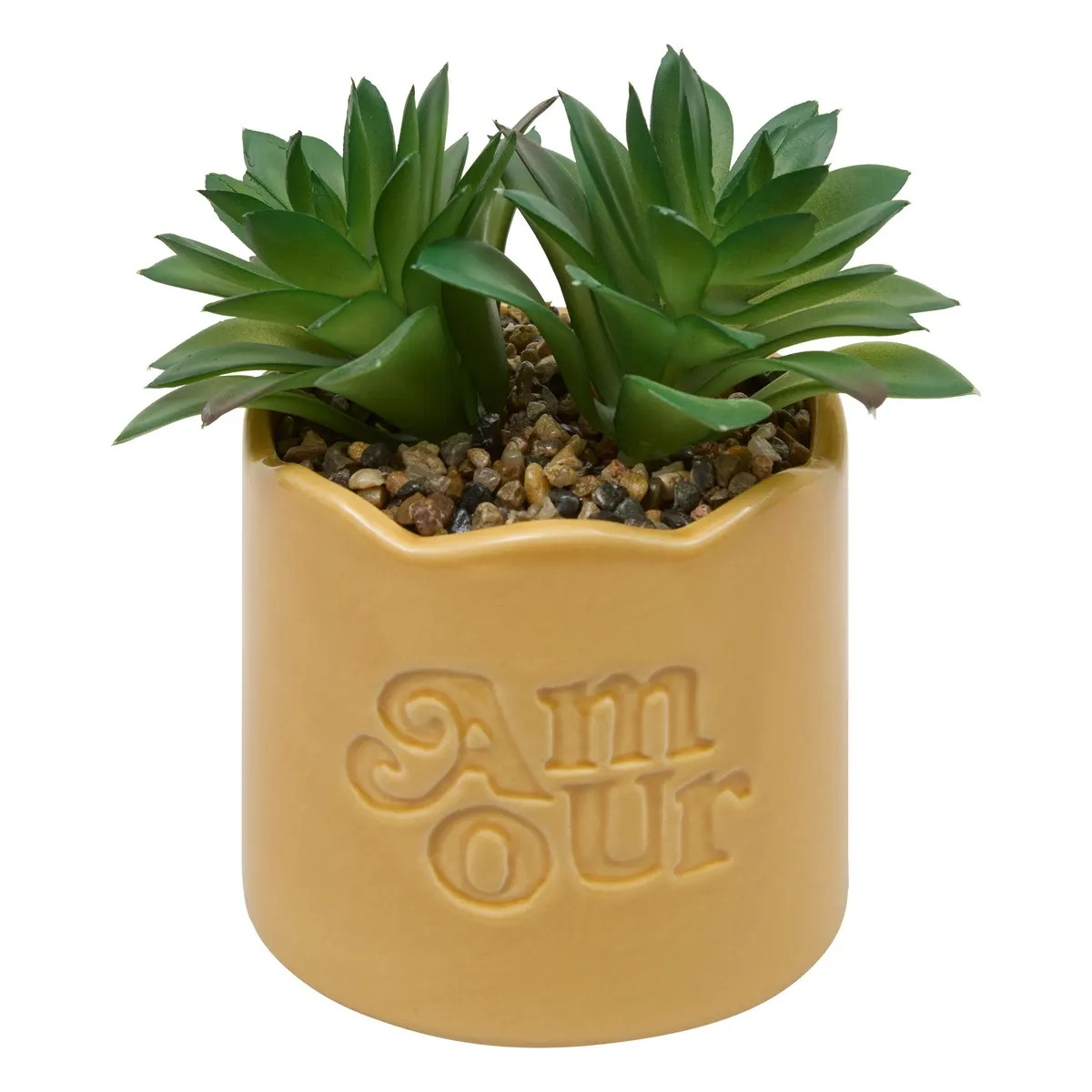 Plante grasse Artificielle Scalea pot moutarde Amour