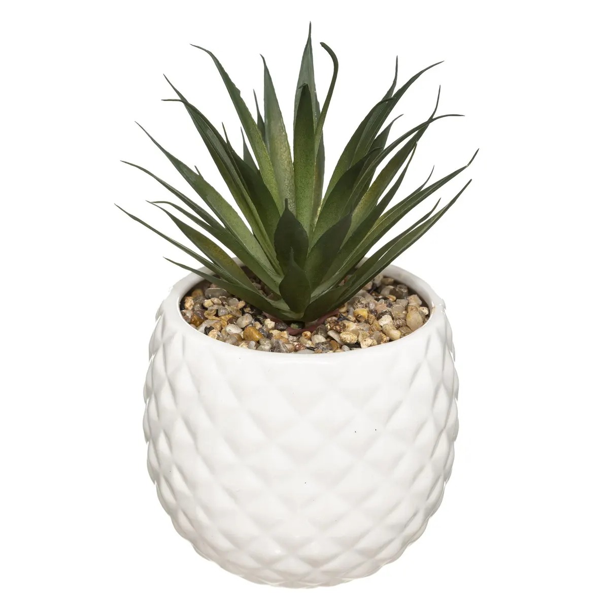 Plante grasse Artificielle Villabate pot Blanc H19cm