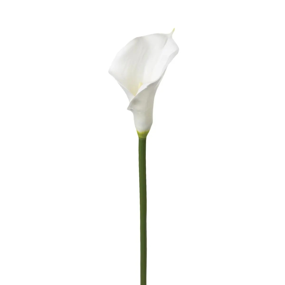 Tige Arum Blanc Artificiel Sanur H75cm