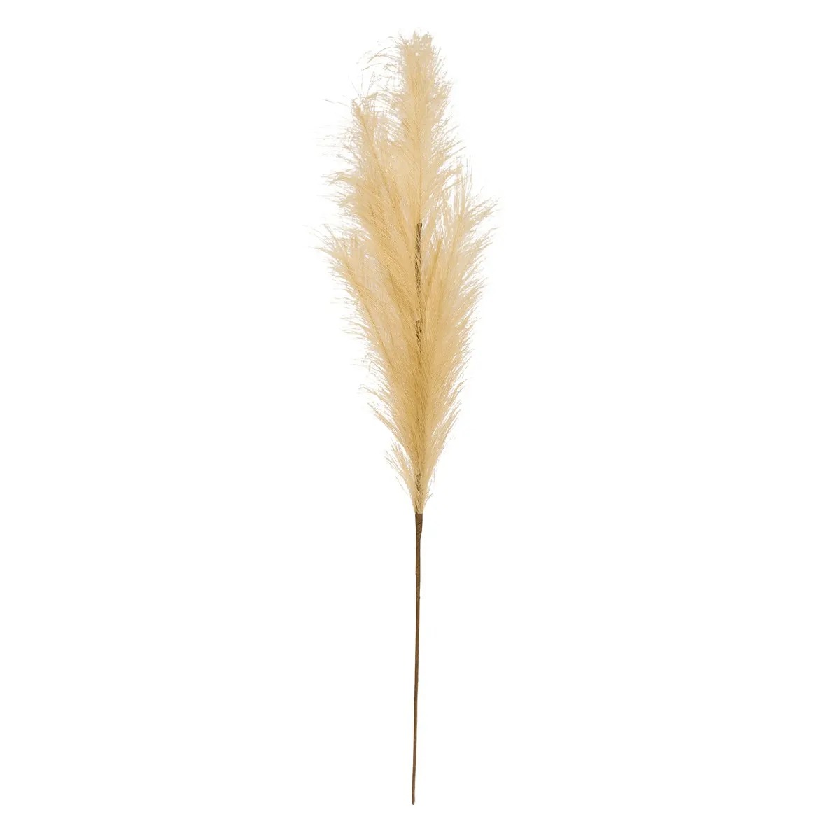 Tige Pampa Artificielle Cercola Beige H90cm