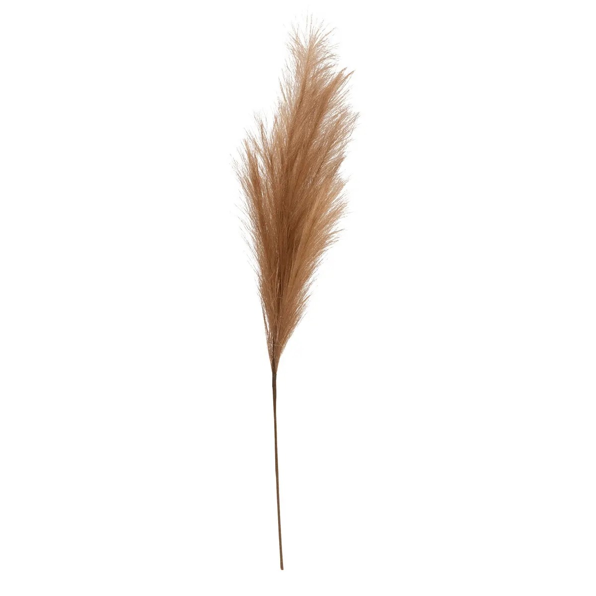 Tige Pampa Artificielle Cercola Marron H90cm