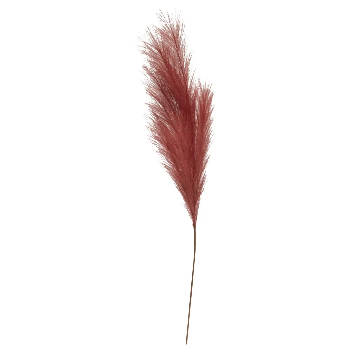 Tige Pampa Artificielle Cercola Rouge H90cm