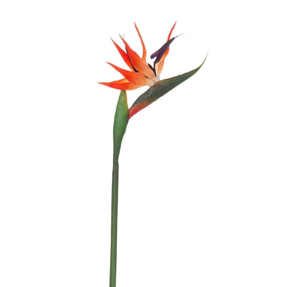 Tige Strelitzia Artificiel Garynia Oiseau du Paradis H83cm