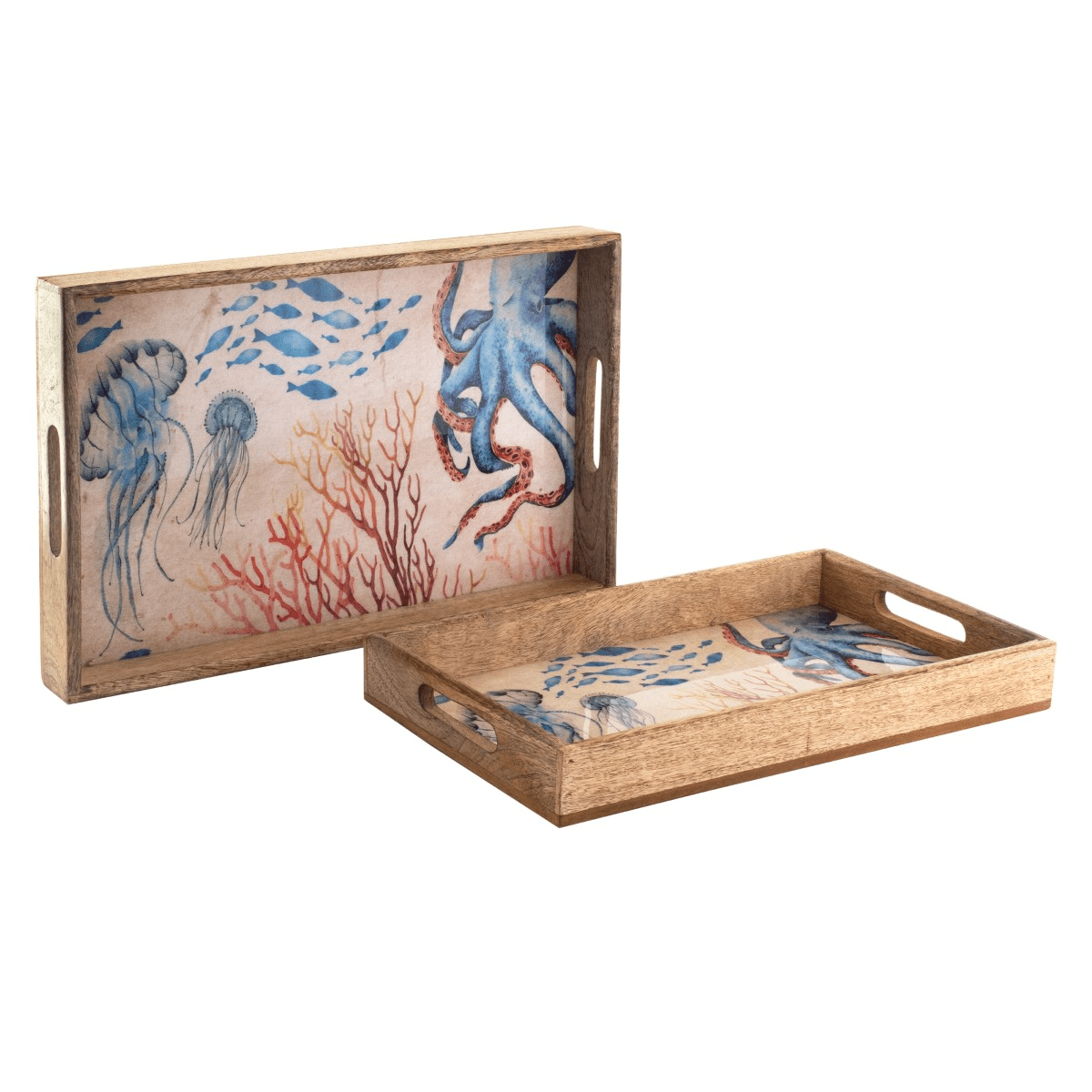 Plateau bois manguier Vie sous-marine Nusapida