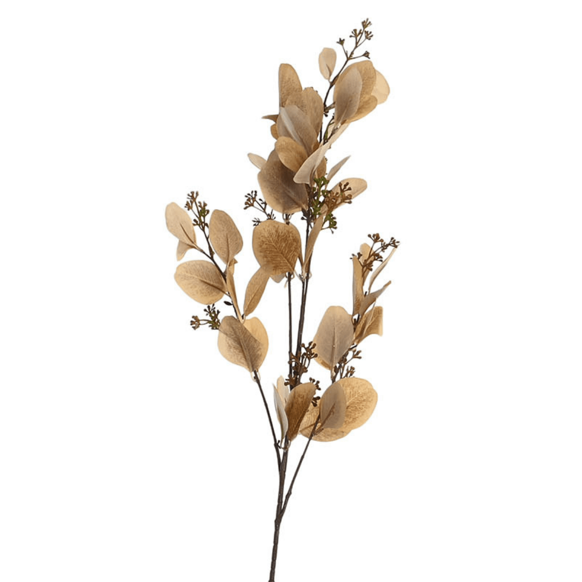 Tige Eucalyptus Artificiel Siefriedo Beige H95cm