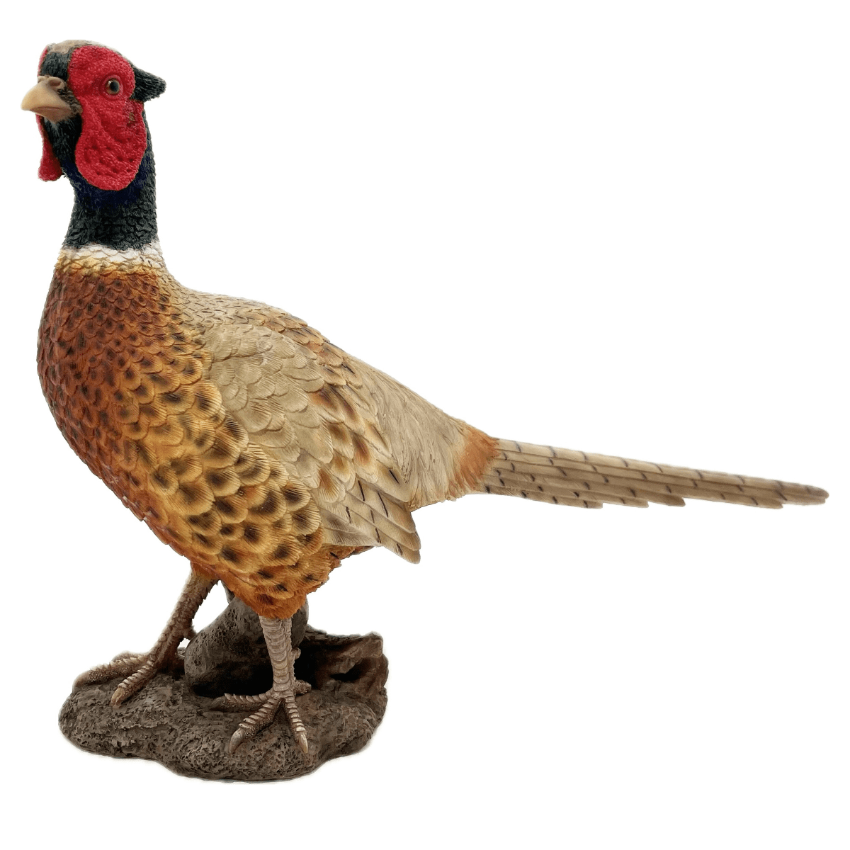 Statue résine Faisan Vumisan - Rivieria