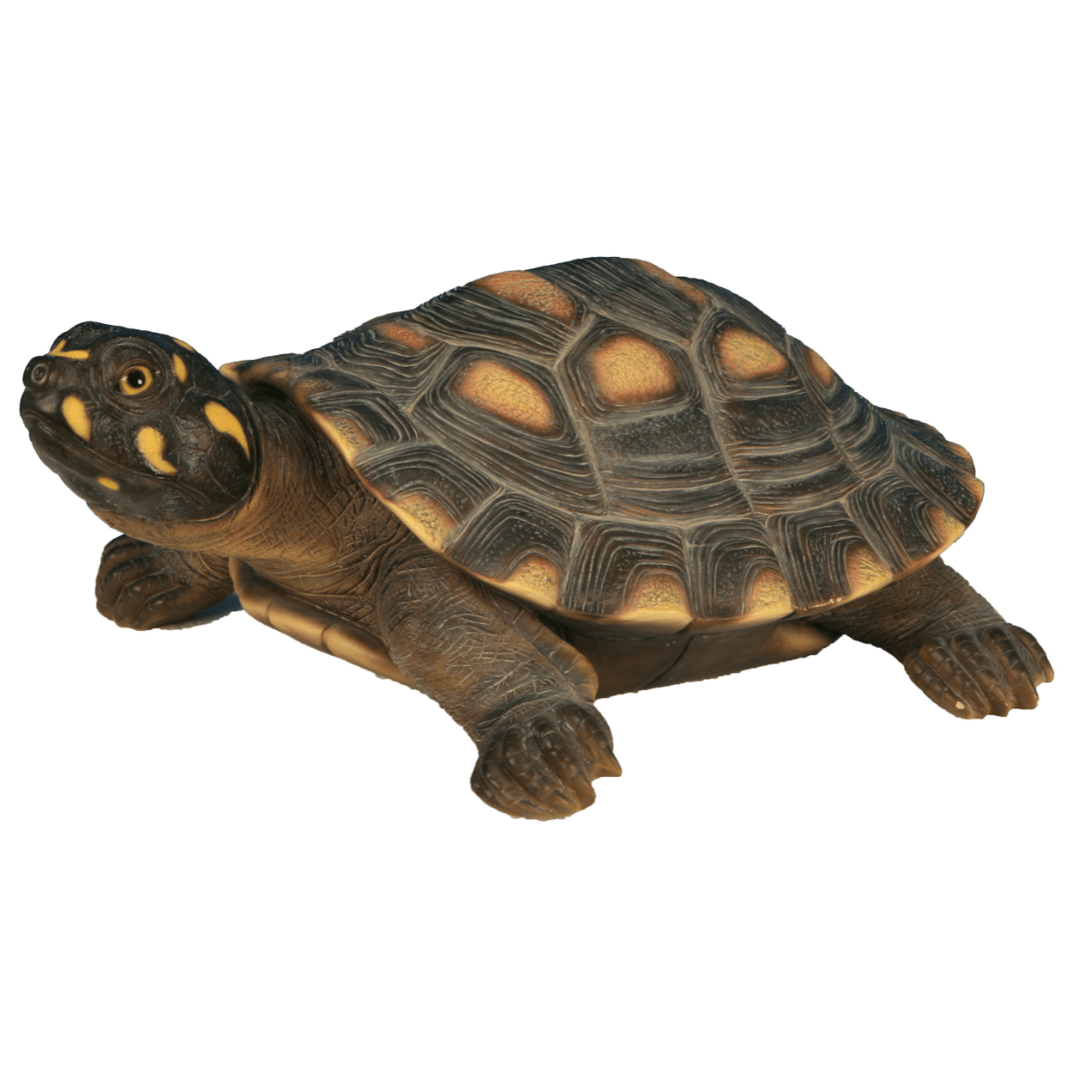 Statue résine Tortue de Floride tête Jaune GM - Riviera