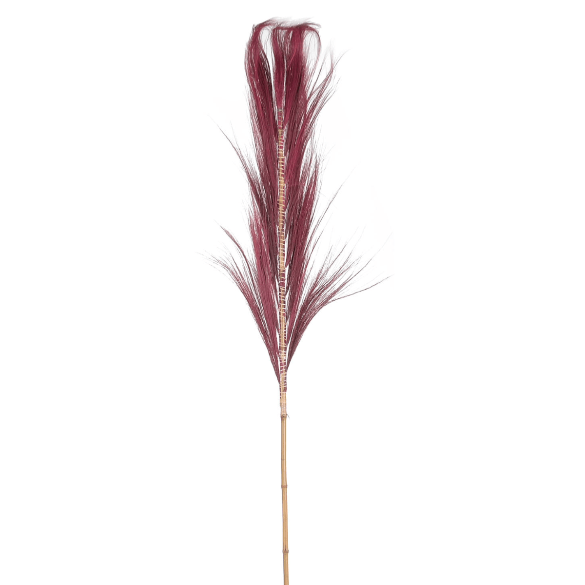 Tige naturelle Rayung et Bambou Sedimen Rouge H230cm