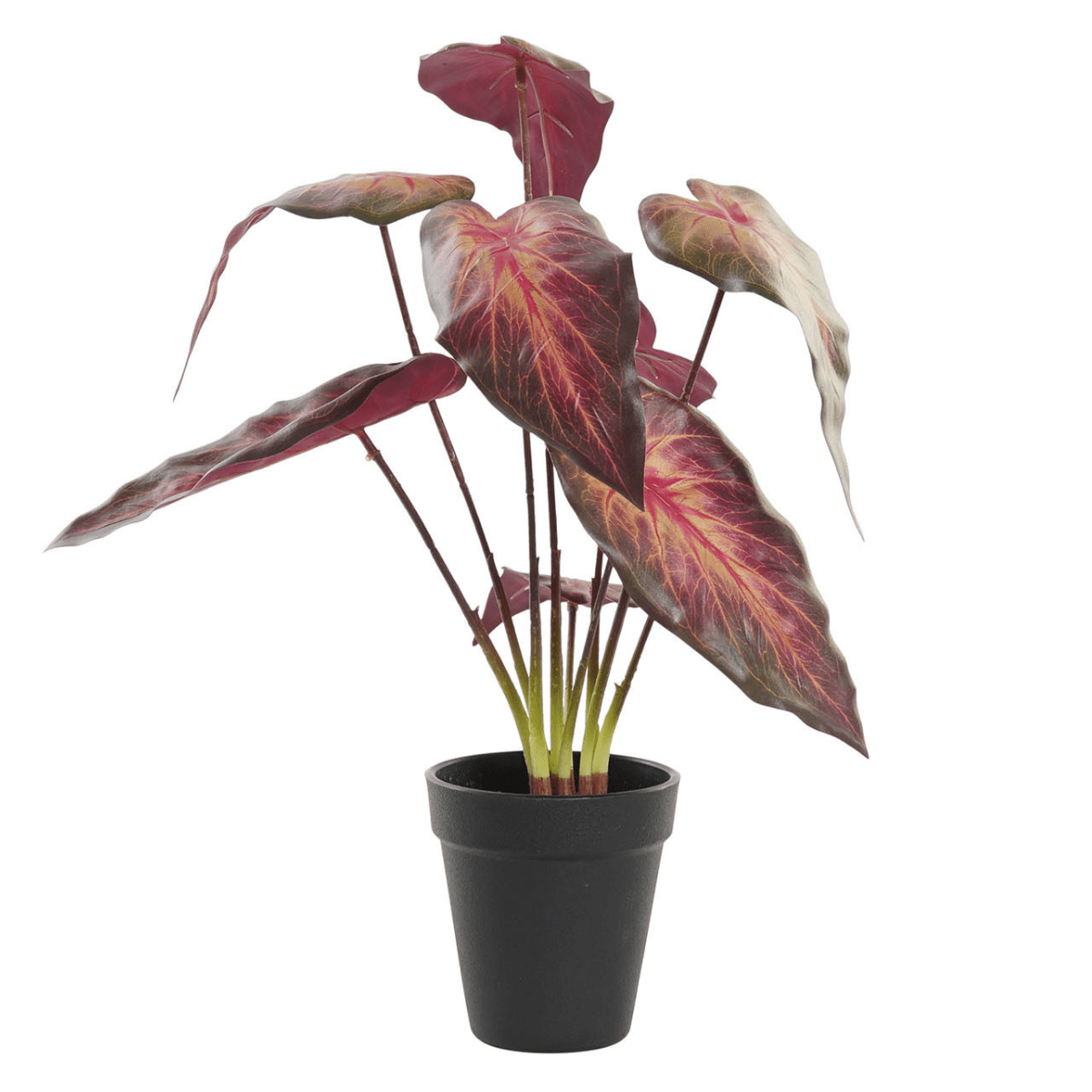 Plante Artificielle Vaquipas Feuille rouge H38cm