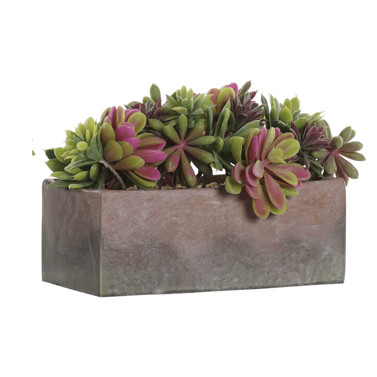 Plante grasse Artificielle Pratis avec jardinière marron