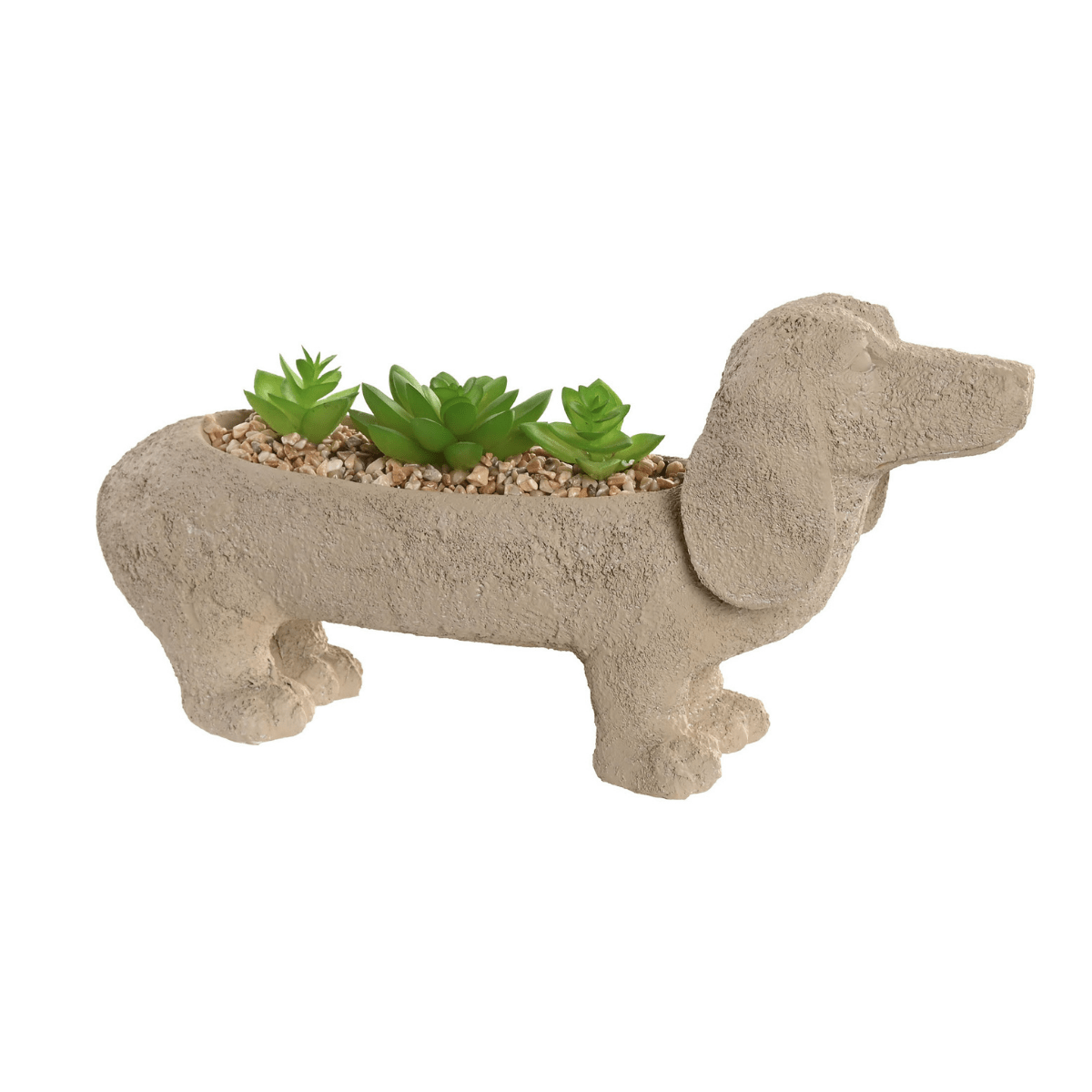 Statue chien Teckel résine Rozzi plantes grasses