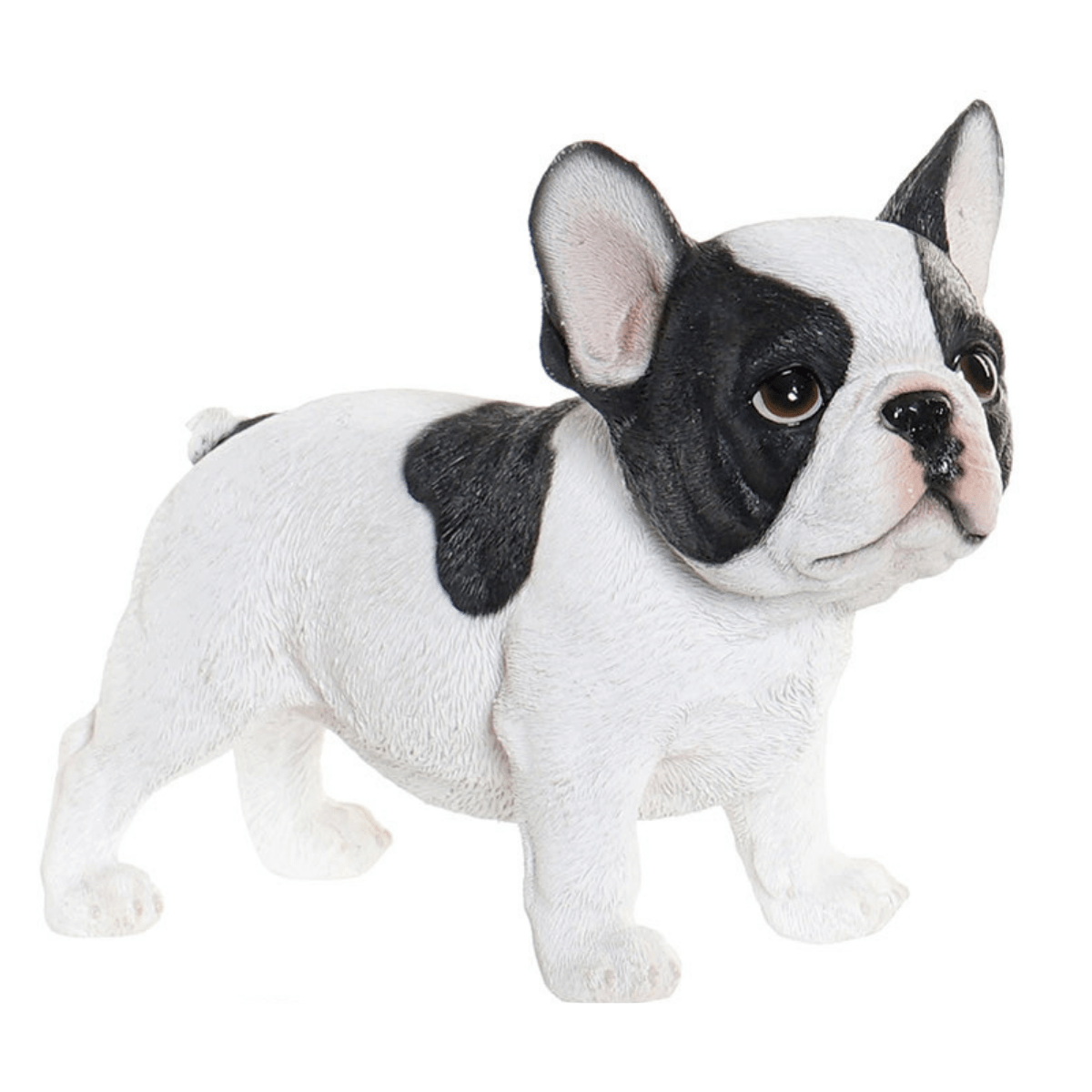 Statue résine Chiot Bouledogue Français Arzane
