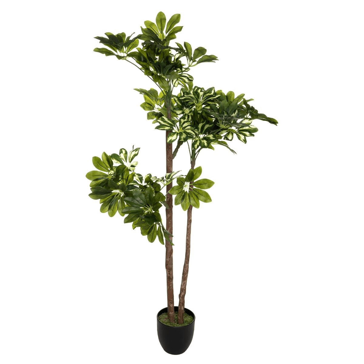 Arbre Artificiel Schefflera H135