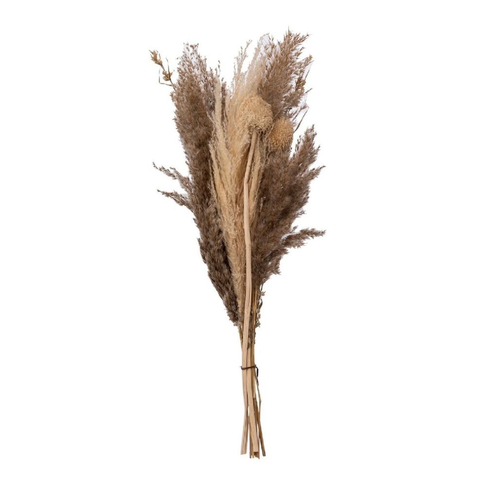 Bouquet de Pampas séchées Valonie H58cm