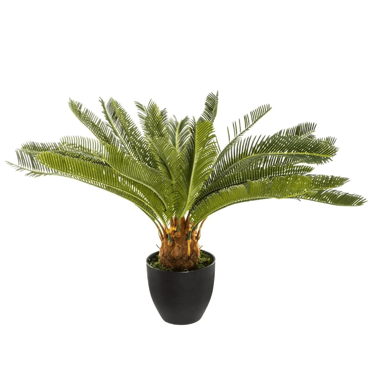 Plante Artificielle - Cycas Maud H72
