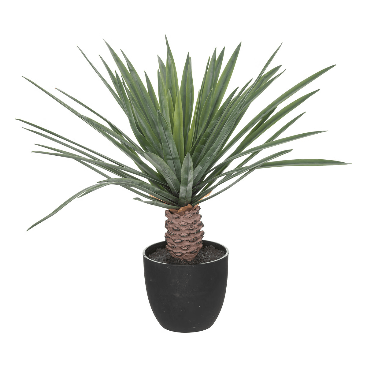 Plante Artificielle Palmier Reykholt H52cm
