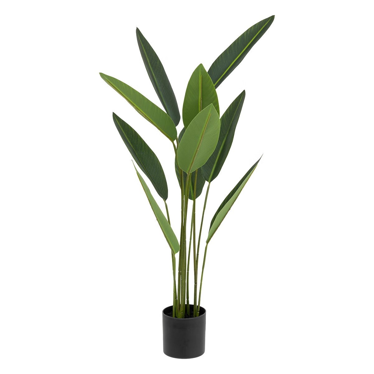 Plante Artificielle Strelitzia Mautitanus H97cm