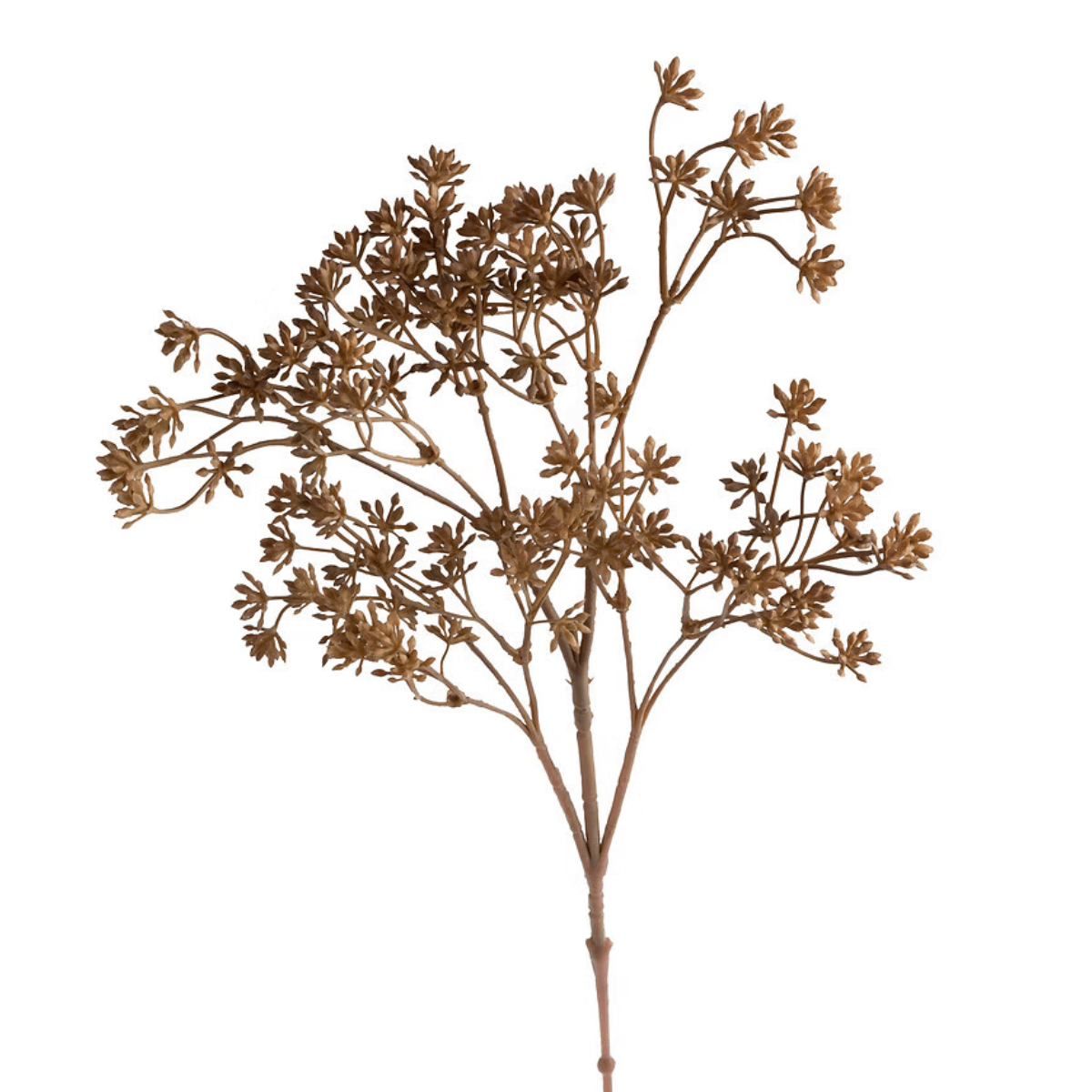 Tige Feuillage Artificiel Achillée Brontye Beige H51cm
